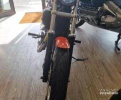 Harley-Davidson Sportster 883 - 2009 FINANZIABILE - 13