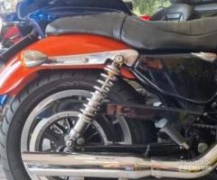 Harley-Davidson Sportster 883 - 2009 FINANZIABILE - 17