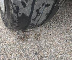 Renault Clio 1.5 Dci 2010 Full Navi - 20