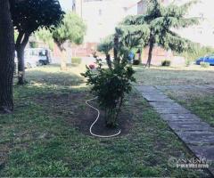 Appartamento 3 vani con Garage Gravina di Catania