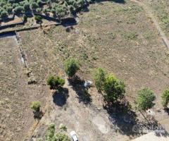 Caseggiato Rurale con Terreno di 85.000 - 15