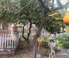 Appartamento con Giardino 5,5 vani San Pietro Clar - 14