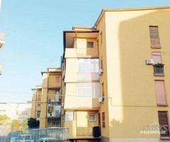 Appartamento 4 vani e Cantina Catania Zona Circonv - 23