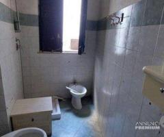 Appartamento 2 vani con cortile Catania Zona Acque - 13