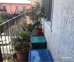 Appartamento 3 vani e mezzo Catania zona Viale M - 18