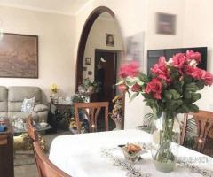 Appartamento 3 vani e mezzo Catania zona Viale M - 20