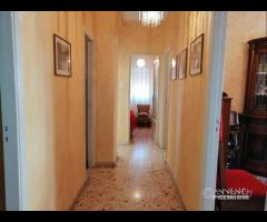 Appartamento 3 vani e mezzo Catania zona Piazza Ri - 23