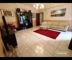 Appartamento 3,5 vani con Terrazza e Garage Montep - 21