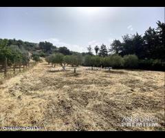 Rif.TA42|Terreno agricolo Caltanissetta