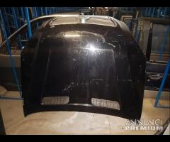 Cofano Per Shuanghuan CEO - 17