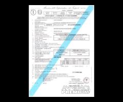 Fiat Doblò Maxi 1.6 MJT 105 Cv ISOTERMICO FNAX 3 P - 10