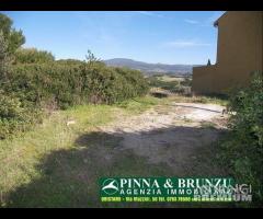 FORTE RIBASSO DI PREZZO - Santa Caterina - 6