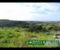 SANTA CATERINA - RUSTICO Terreno PREZZO RIBASSATO - 11