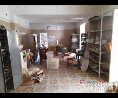 Locale artigianale con giardino e accesso - 6