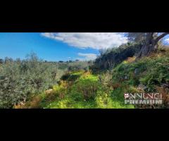 Pianotorre, panoramico terreno con rudere - 7
