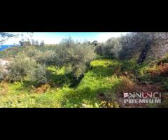 Pianotorre, panoramico terreno con rudere - 12