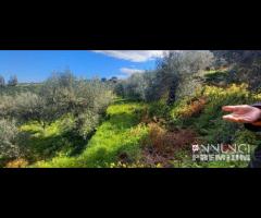 Pianotorre, panoramico terreno con rudere - 13