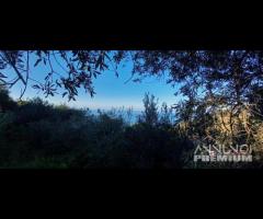 Pianotorre, panoramico terreno con rudere - 21