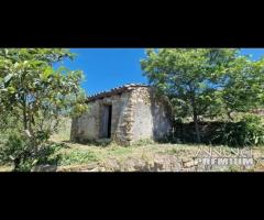 Terreno 10.000mq con rustici a Calatabiano