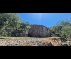 Terreno 10.000mq con rustici a Calatabiano - 11