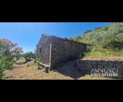 Terreno 11.900mq con fabbricati a Piedimonte Etneo - 14