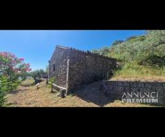 Terreno 27.400 mq con fabbricati Piedimonte Etneo - 14