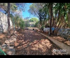 Villa Caposchiera al Mare - 15