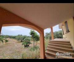 Villa Indipendente con Terreno - 15