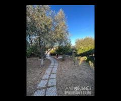 Scenografica villa 500 metri dalla spiaggia - 14