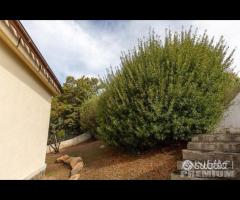 Chia villa di recente costruzione vicino al mare - 7