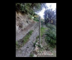 Zona nord, Portella Castanea