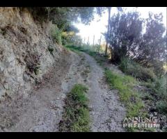 Zona nord, Portella Castanea - 8