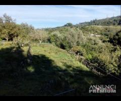 Zona nord, Portella Castanea - 9