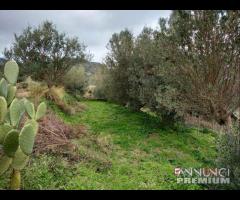 Camaro superiore appezzamento terreno di 1700 mq - 8