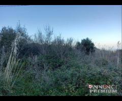 Camaro superiore appezzamento terreno di 1700 mq - 12