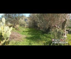 Camaro superiore appezzamento terreno di 1700 mq - 17