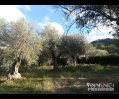 Sparta' casetta da ristrutturare con terreno rif