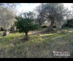 Sparta' casetta da ristrutturare con terreno rif - 12