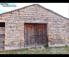 Casolare grandi dimensioni con annessi a jesi - 7