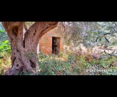 Spartà,pressi s.s.113 Ampio rudere e terreno