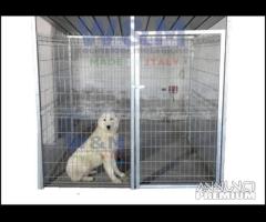 box per cani recinzioni metalliche