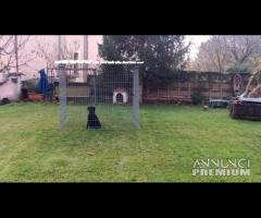 Articolo LT 333 - 10