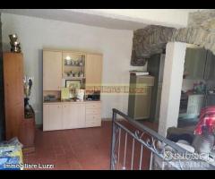 Dolcedo / Prelà porzione di rustico ristrutturato - 9