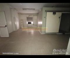 Imperia Argine sinistro magazzino 300 + 50 mq - 8