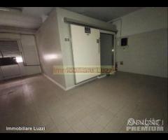 Imperia Argine sinistro magazzino 300 + 50 mq - 9