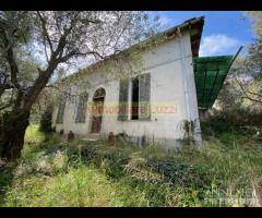 IMPERIA VILLA BIFAMIGLIARE CON TERRENO