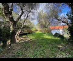 IMPERIA VILLA BIFAMIGLIARE CON TERRENO