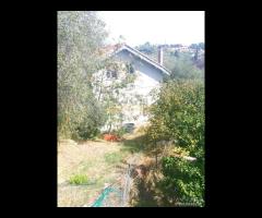 IMPERIA VILLA BIFAMIGLIARE CON TERRENO - 9