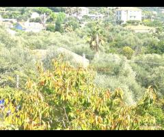 IMPERIA VILLA BIFAMIGLIARE CON TERRENO - 12