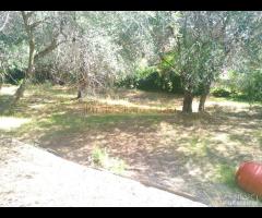 IMPERIA VILLA BIFAMIGLIARE CON TERRENO - 15